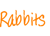 Rabbits