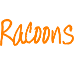 Racoons