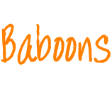 Baboons